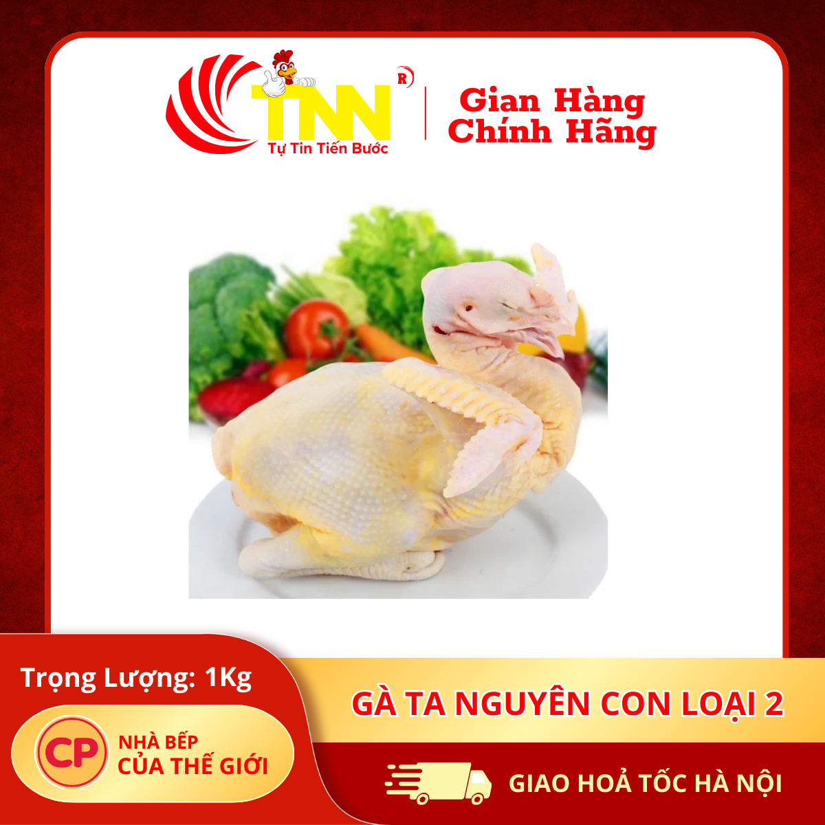 Gà ta nguyên con loại 2